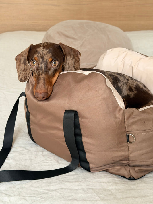 Sac de transport pour teckel : comment bien le choisir ?