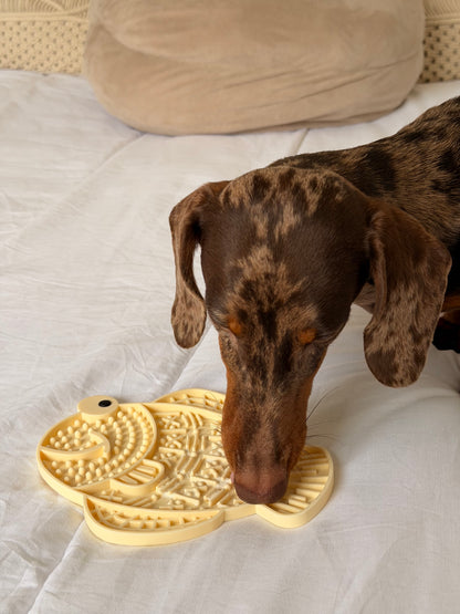 Chien teckel nain léchant un tapis de léchage apaisant en silicone en forme de poisson