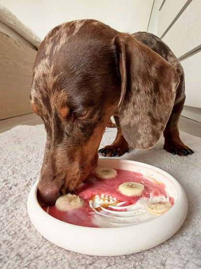 Teckel utilisant un tapis de léchage en silicone pour ralentir la prise alimentaire