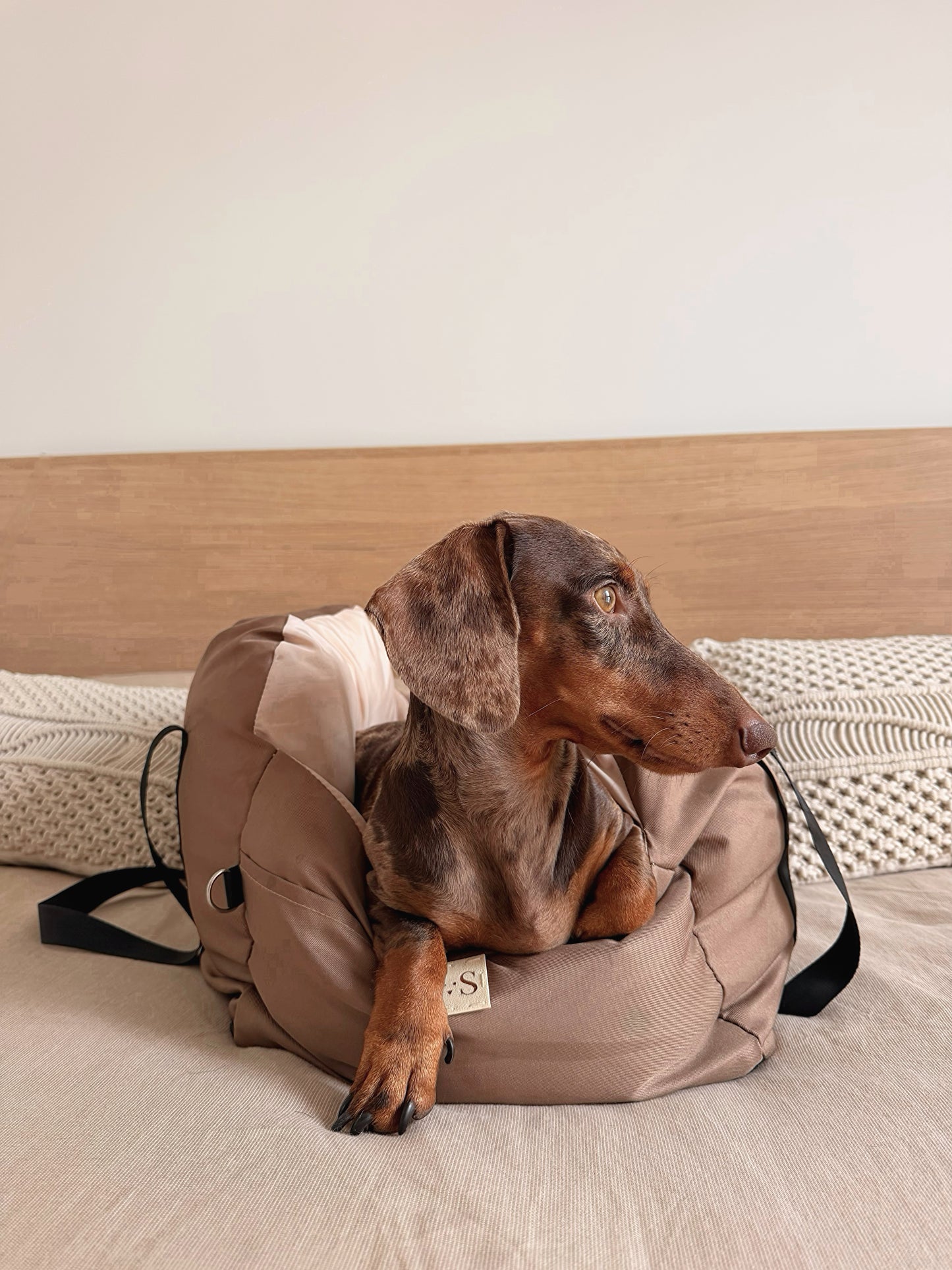 Sac de transport Cocon AYOS marron pour petit chien, avec un teckel confortablement installé à l'intérieur