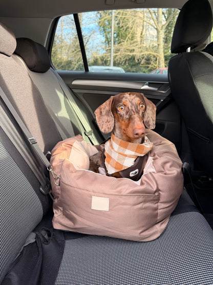Teckel dans un sac de transport pour voiture AYOS Club
