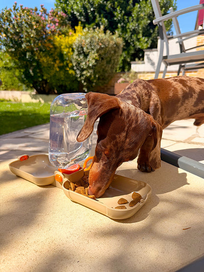 Chien mangeant et s’hydratant avec la gourde de voyage AYOS 2-en-1. Son design multifonction permet de transporter à la fois de l’eau et des croquettes pour les promenades, randonnées, voyages et activités en plein air.