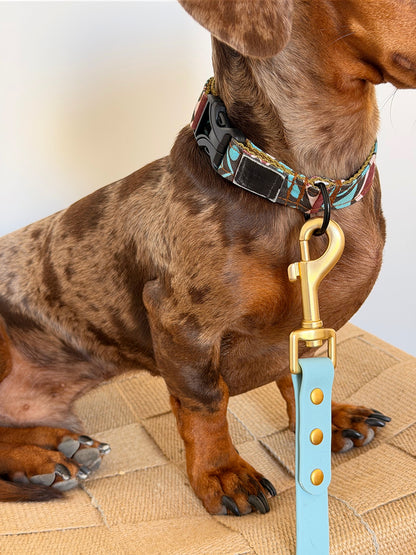 Laisse Halo bleu ciel avec mousqueton doré attachée au collier d’un chien