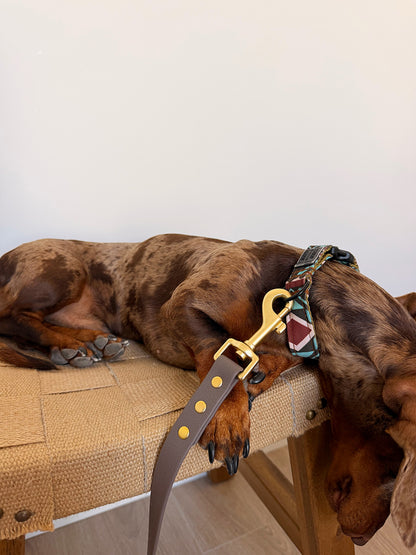 Laisse Halo marron mocha avec mousqueton doré attachée au collier d’un chien