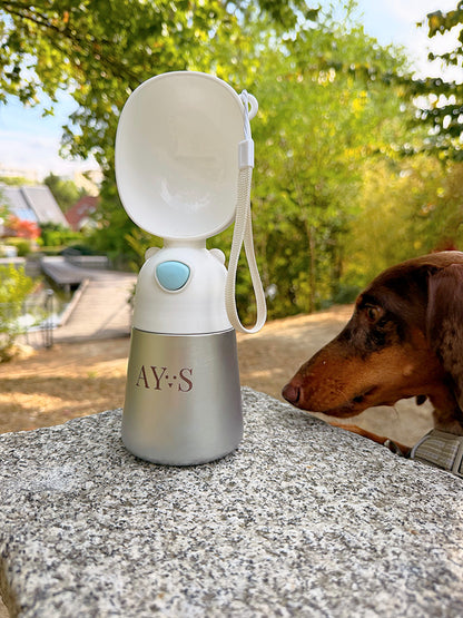 Gourde isotherme Mar AYOS Club ouverte posée sur une table en pierre lors d’une promenade, avec un teckel chocolat observant la gourde dans un parc.