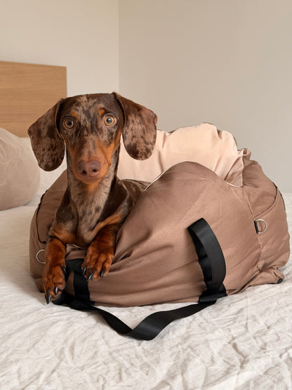 Teckel dans un sac de transport cocooning AYOS Club