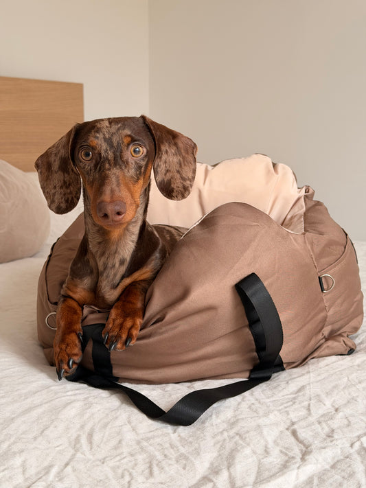 Teckel dans un sac de transport cocooning AYOS Club