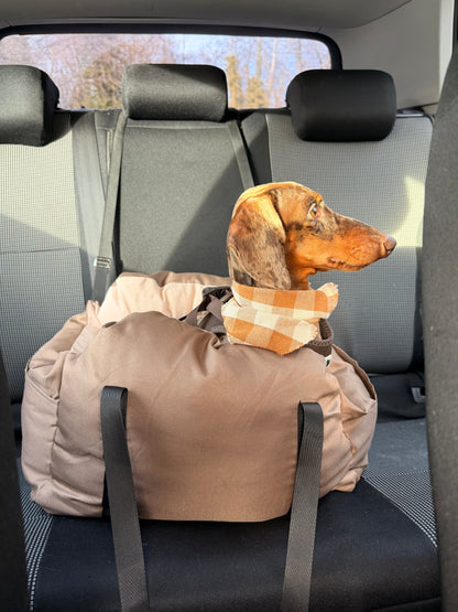 Teckel installé dans un panier de transport pour voiture AYOS Club