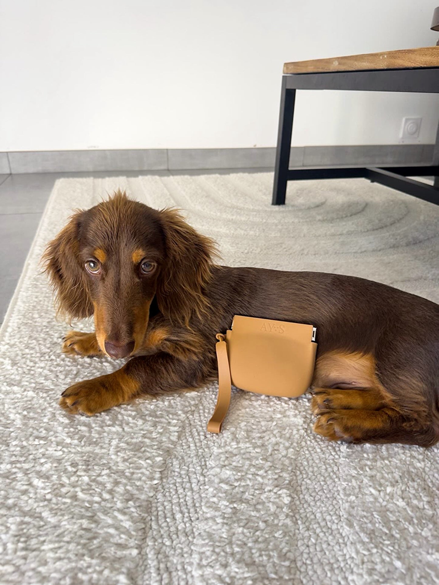 Pochette à friandises pour chien AYOS Club couleur camel avec teckel nain chocolat