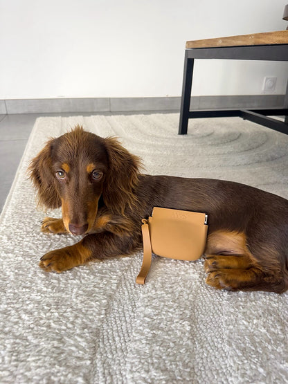 Pochette à friandises pour chien AYOS Club couleur camel avec teckel nain chocolat