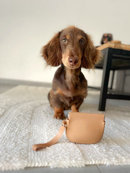 Accessoire d’éducation canine et pochette à friandises AYOS Club avec teckel nain chocolat