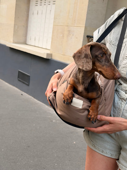 Teckel dans un sac de transport portable AYOS Club en ville