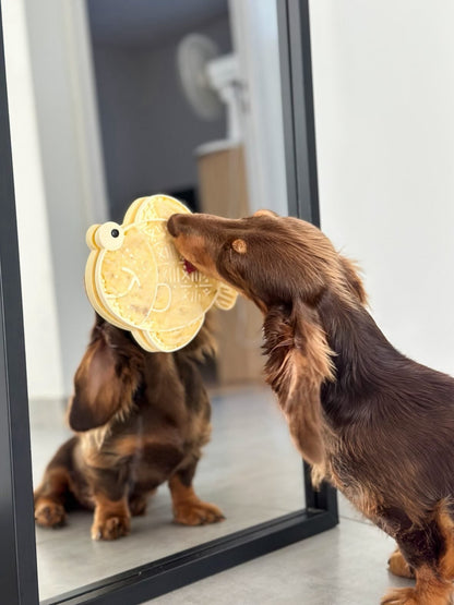 Chiot teckel nain à poil long léchant un tapis de léchage apaisant en forme de poisson avec ventouses
