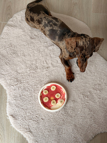 Chien teckel à côté d’un tapis de léchage antistress pour chien