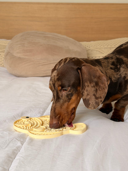 Teckel nain léchant un tapis de léchage apaisant en forme de poisson pour chien